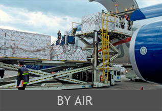 Rajee Shipping Agency