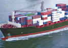 Rajee Shipping Agency