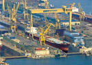 Rajee Shipping Agency