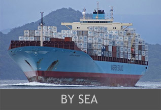 Rajee Shipping Agency