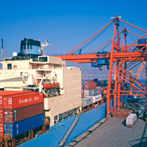 Rajee Shipping Agency