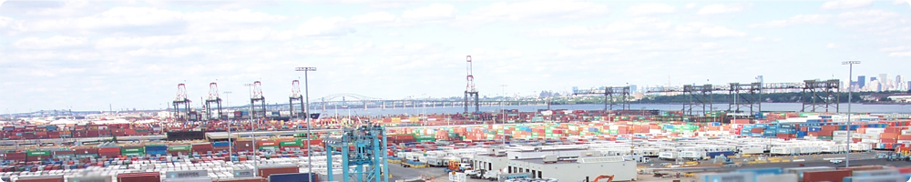 Rajee Shipping Agency