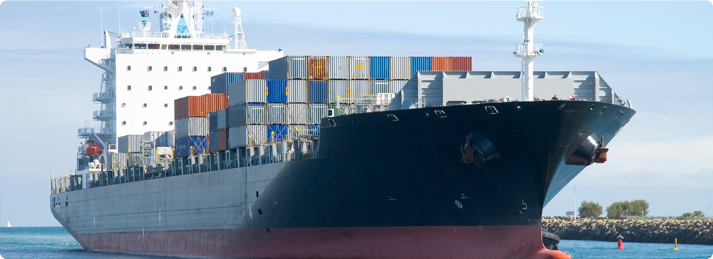 Rajee Shipping Agency
